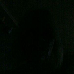 Meet your Posher, Mechelle